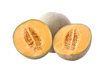Cantaloup Cantaloup