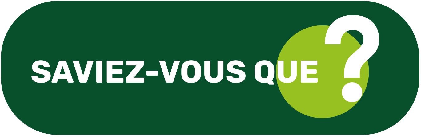 Bouton pour découvrir la section Saviez-vous que?