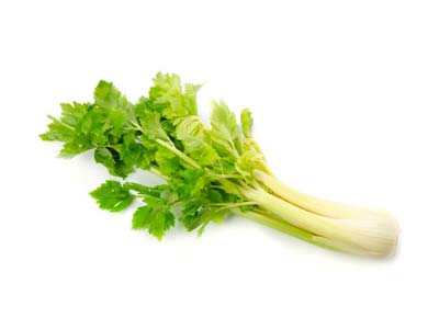 Céleri