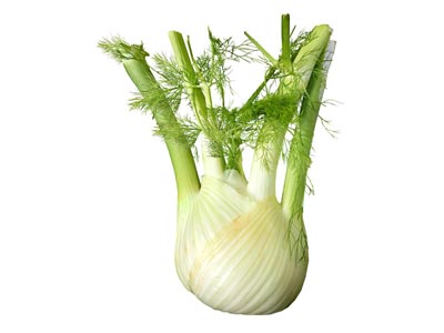 Fenouil