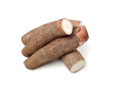 Manioc